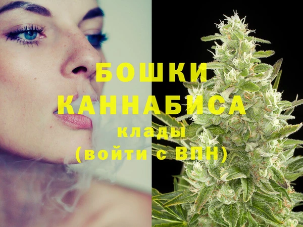 прущая мука Бородино