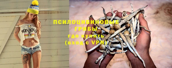 мдпв Богданович
