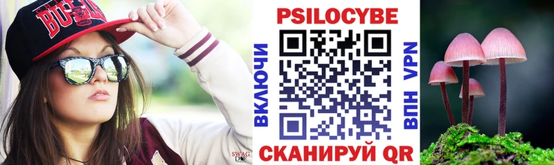 Купить где  Сим  Галлюциногенные грибы GOLDEN TEACHER 